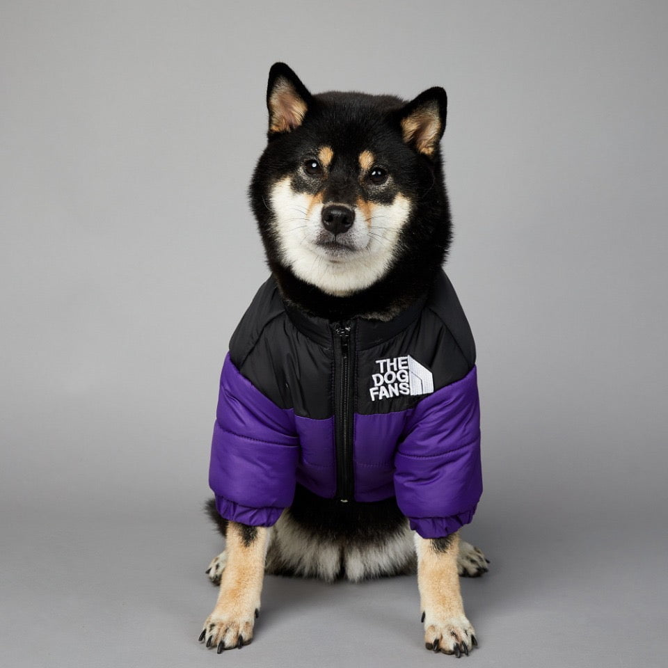 Veste pour chien The North Face | 2024