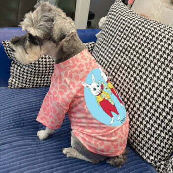T-shirt pour chien Pawcci - 2025 - Vêtement et accessoires pour chiens - Doglovedesign