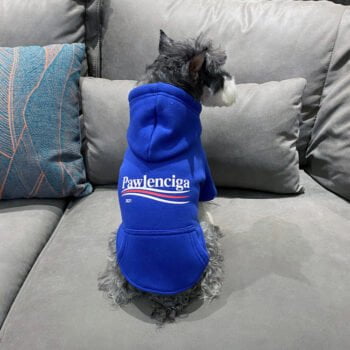 Sweat à capuche pour chien Balenciaga | 2024