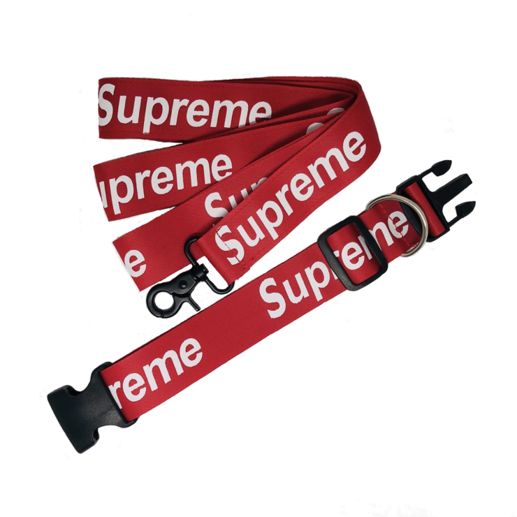 Collier et harnais pour chien Supreme | 2025