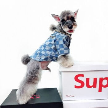 Veste pour chien Badgod - 2025 - Vêtement et accessoires pour chiens - Doglovedesign