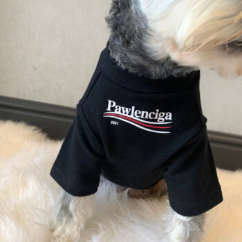 T-shirt pour chien Balenciaga | 2025