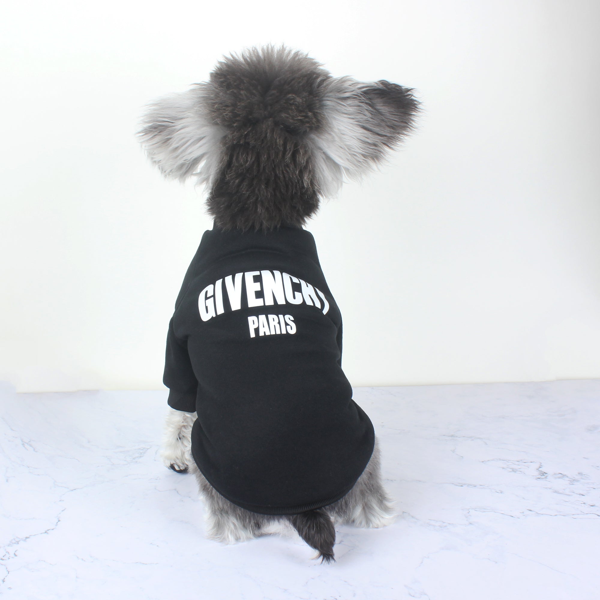 Sweat-shirt pour chien Givenchy | 2024