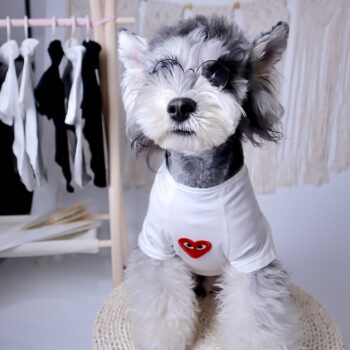 T-shirt pour chien CDG | 2025