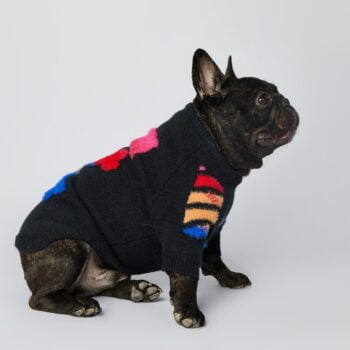 Pull pour chien WOOF | 2024