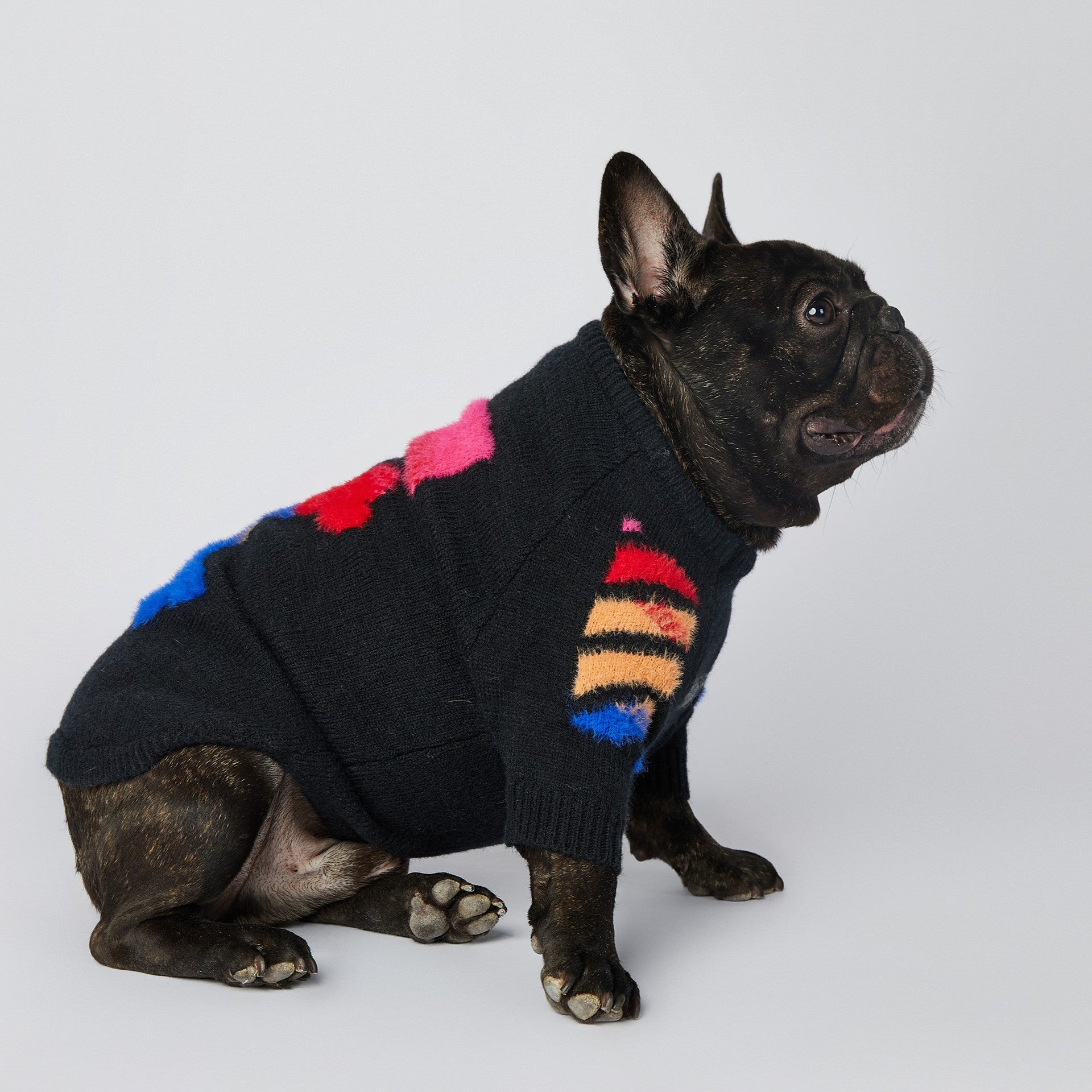 Pull pour chien WOOF | 2023