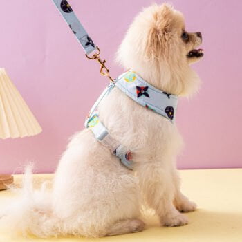 Collier et Harnais Pawtton pour Chiens - 2025 - Vêtement et accessoires pour chiens - Doglovedesign