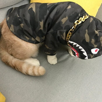 Sweat à capuche pour chien Bape | 2025