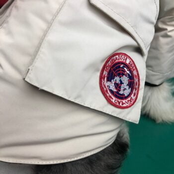 Veste pour chien Canada Goose - 2025 - Vêtement et accessoires pour chiens - Doglovedesign