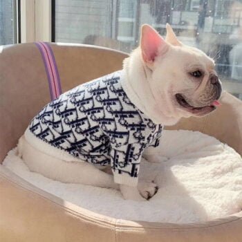 Pull pour chien Dior - 2025 - Vêtement et accessoires pour chiens - Doglovedesign