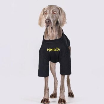 Vêtements Grands Chiens Hello Smile | 2025