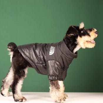 Veste pour chien The North Face | 2024