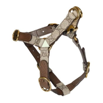 Collier et harnais pour chien Gucci | 2025