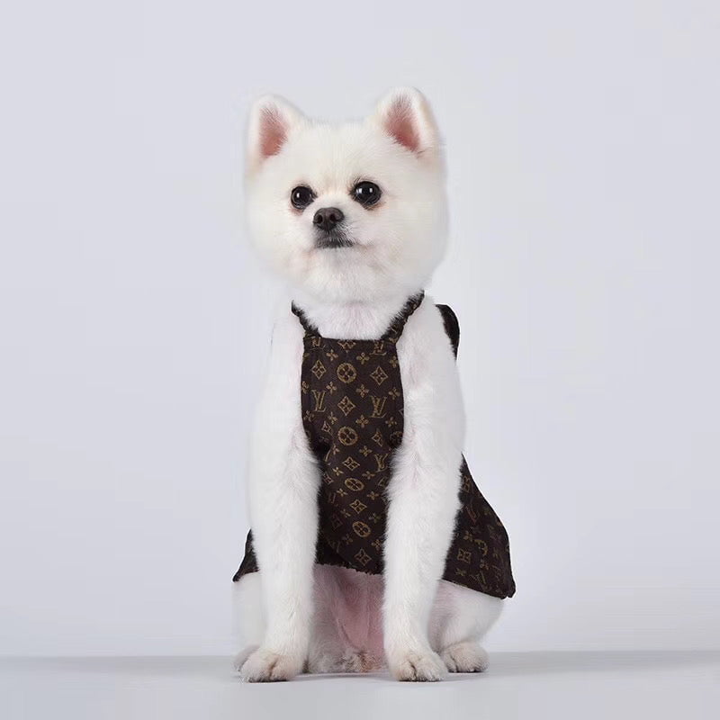 Robe pour chien Louis Vuitton | 2023