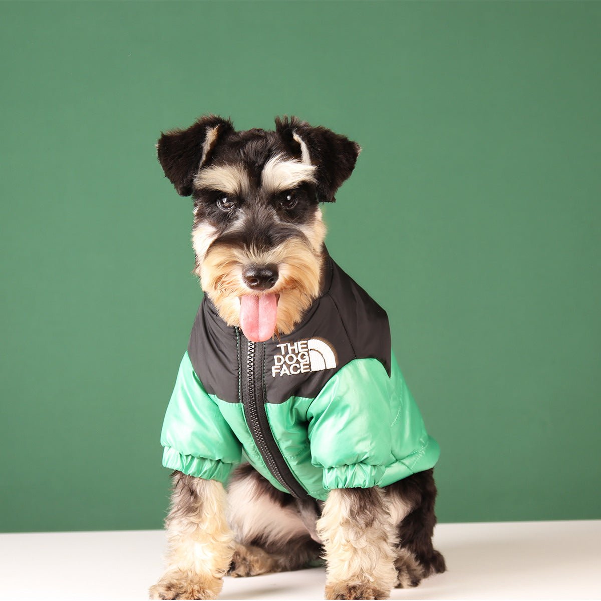 Veste pour chien The North Face | 2024