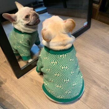 Pull pour chien Gucci | 2024