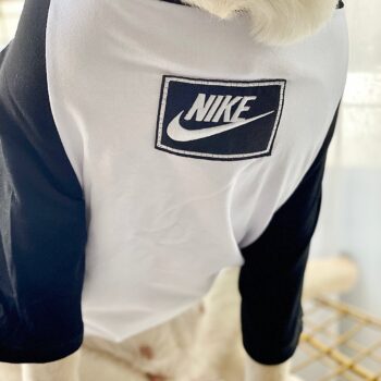 Vêtements Grands Chiens Nike | 2024