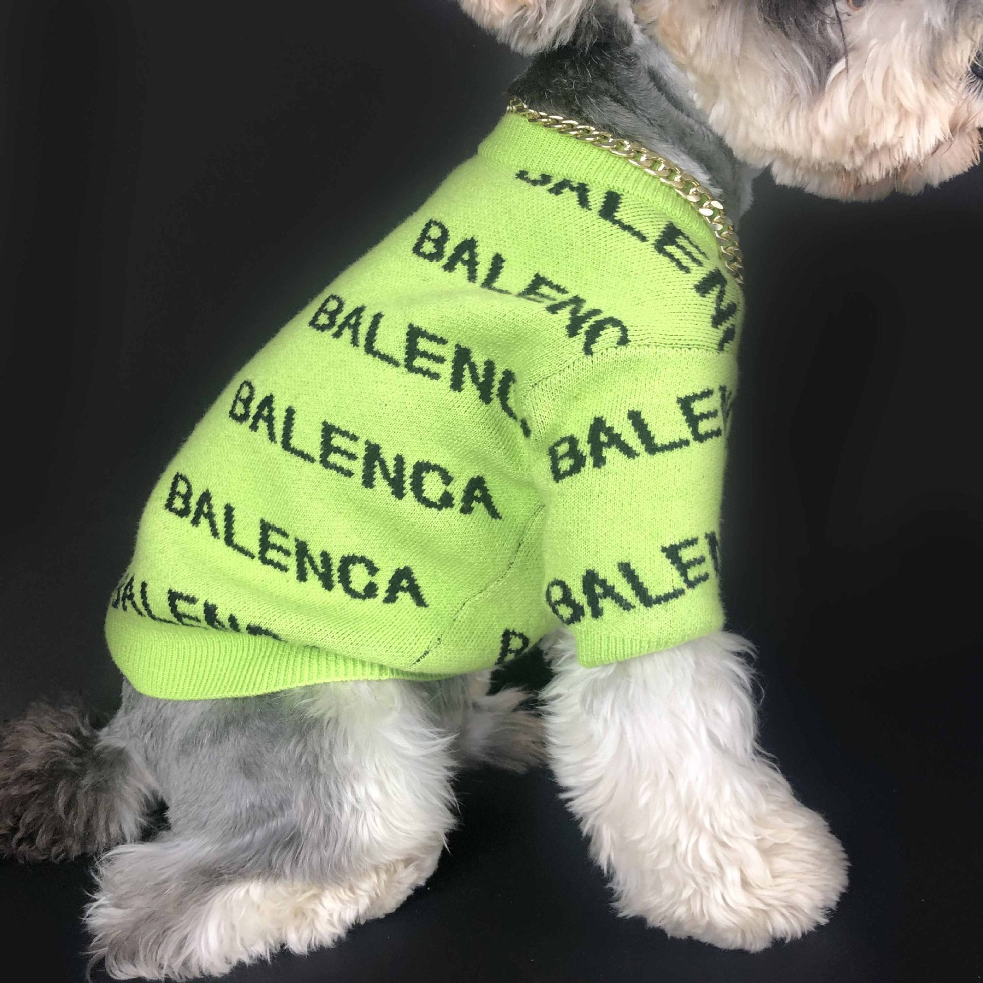 Pull pour chien Balenciaga | 2024