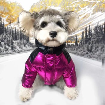 Veste pour chien Moncler | 2024