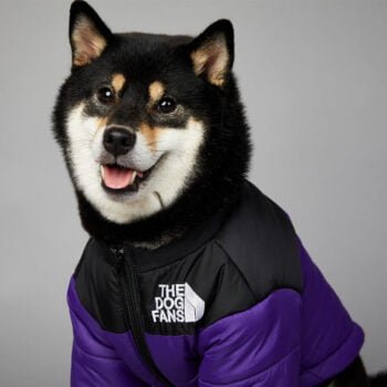 Veste pour chien The North Face - 2025 - Vêtement et accessoires pour chiens - Doglovedesign