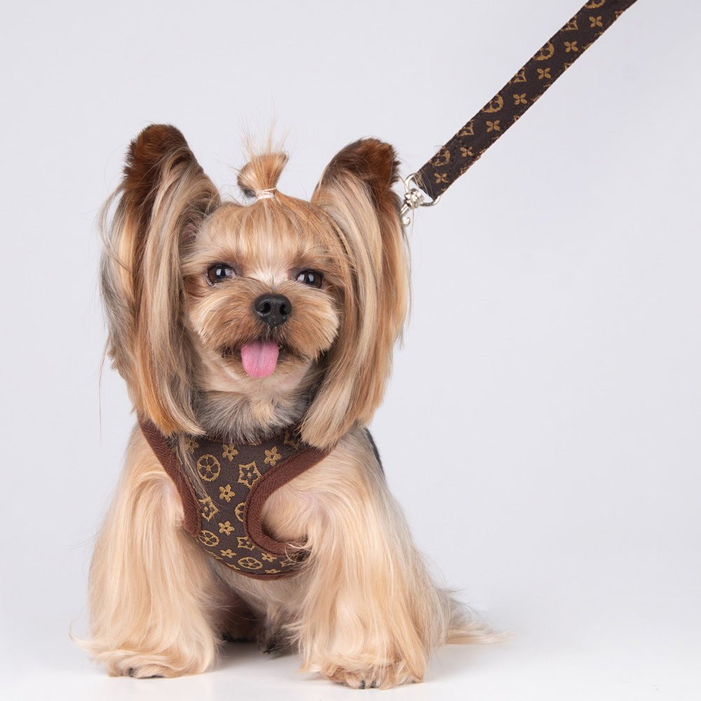Laisse et harnais pour chien Vuitton | 2023