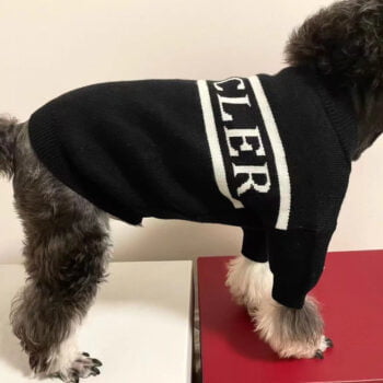 Pull pour chien Moncler | 2025