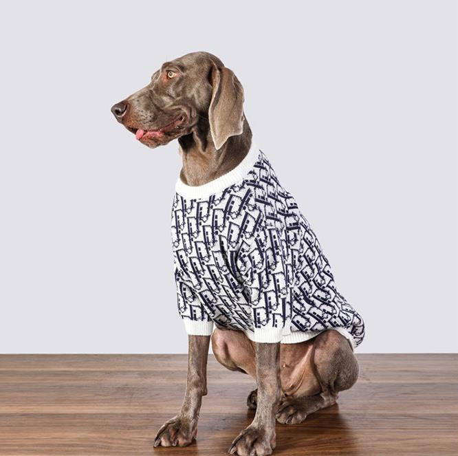 Vêtements Grands Chiens Dior | 2024