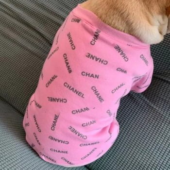 Pull pour chien Chanel | 2024