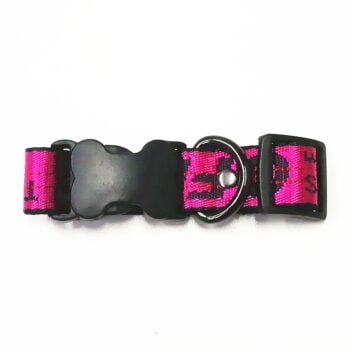 Collier et harnais pour chien Off White - 2025 - Vêtement et accessoires pour chiens - Doglovedesign