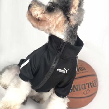 Veste pour chien Puma | 2024