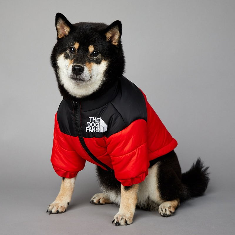 Veste pour chien The North Face - 2025 - Vêtement et accessoires pour chiens - Doglovedesign