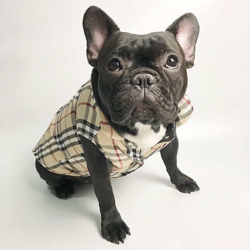 Veste pour chien Burberry | 2024