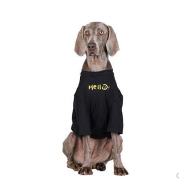 Vêtements Grands Chiens Hello Smile | 2025