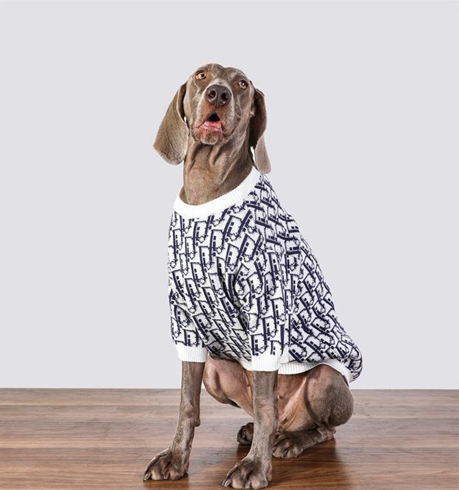 Vêtements Grands Chiens Dior | 2024