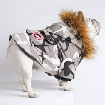 Veste pour chien Canada Goose | 2024