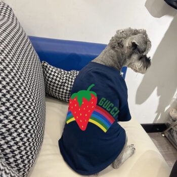 T-shirt pour chien Gucci | 2024