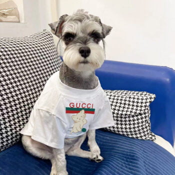 T-shirt pour chien Pawcci - 2025 - Vêtement et accessoires pour chiens - Doglovedesign