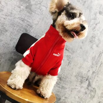 Veste pour chien Puma | 2024