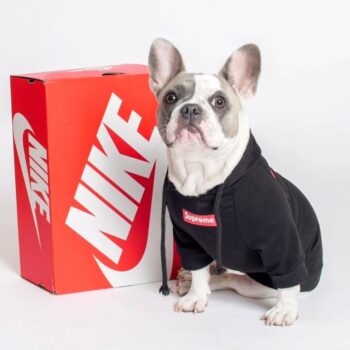 Sweat à capuche pour chien Supreme | 2024