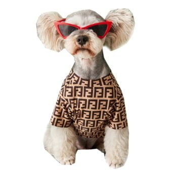 T-shirt pour chien Fendi | 2024