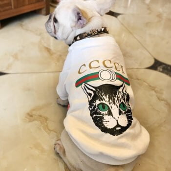 Sweat-shirt pour chien Gucci | 2024