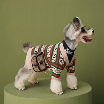 Pull pour chien Gucci | 2024