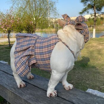 Robe pour chien Burberry | 2024