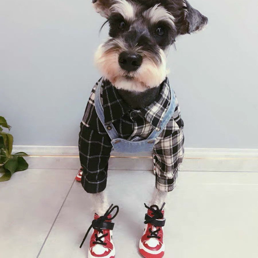 Sneakers Jordan pour Chiens : Le Style Nike, Taille Mini ! | 2024