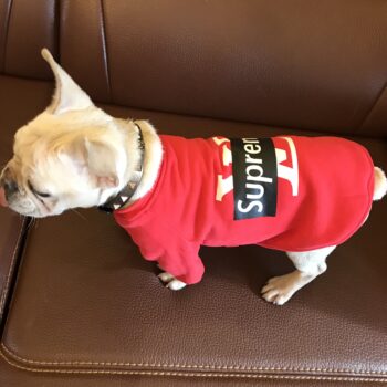 Sweat à capuche pour chien Louis Pawtton | 2024