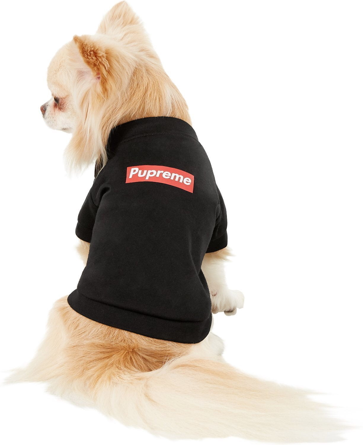 T-shirt pour chien Supreme | 2023