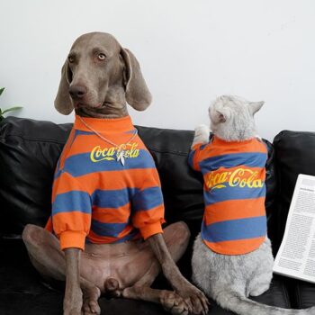 Vêtements Grands Chiens Coca Cola | 2025