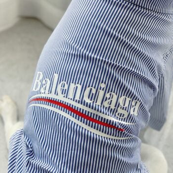 Vêtements Grands Chiens Balenciaga | 2024