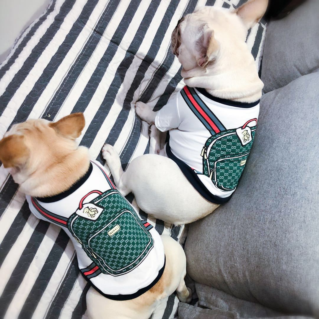 T-shirt pour chien Gucci | 2024