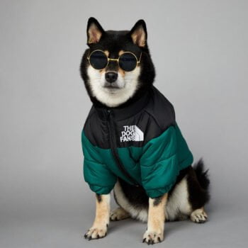 Veste pour chien The North Face - 2025 - Vêtement et accessoires pour chiens - Doglovedesign